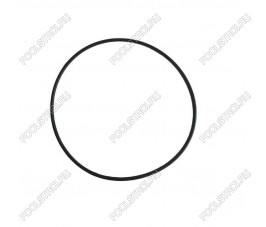 Прокладка насосов Saer IR4P Cast Iron (54760167) Прокладка насосов Saer IR4P Cast Iron (54760167)